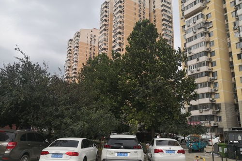 紫芳园 一区 优点 不足,紫芳园 一区 怎么样,紫芳园 一区 周边房产中介经纪人评价 北京安居客